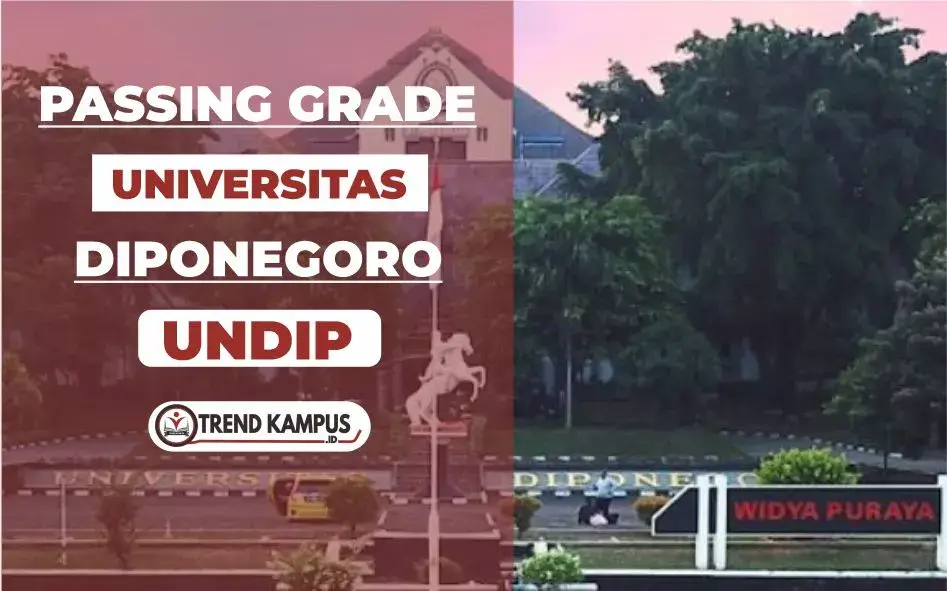 Passing Grade UNDIP Terbaru
